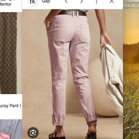 Banana Republic Slim Utility Pant Dusty Pink Size 2 - Picture 1 of 11
